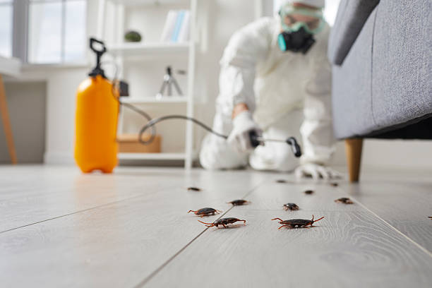 Post-Treatment Bed Bug Interceptor Monitoring in Delta